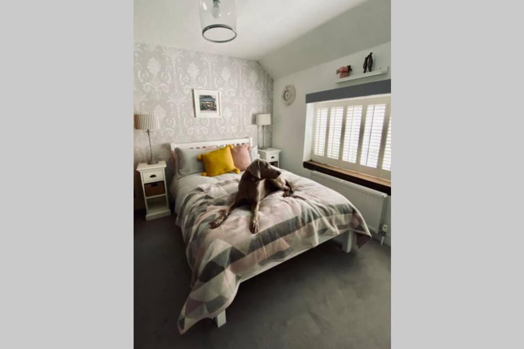 Angel Cottage, Boxgrove, Chichester - Relax And Unwind Exterior foto